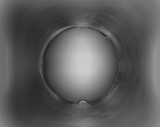 X0000089461432200706291453