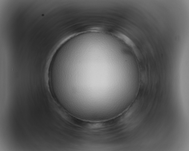 X0000089461435200706291453