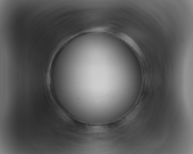 X0000089461436200706291453