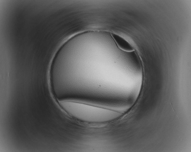 X0000089461440200706291453
