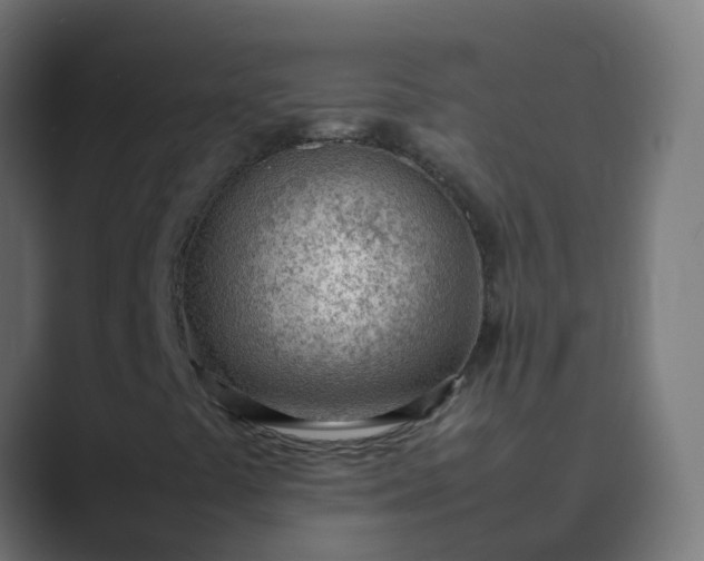 X0000089461441200706291453