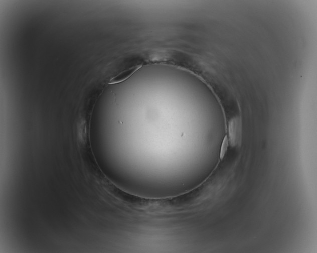 X0000089461443200706291453