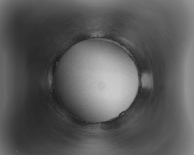 X0000089461444200706291453