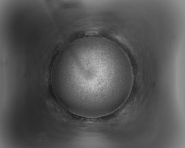 X0000089461445200706291453