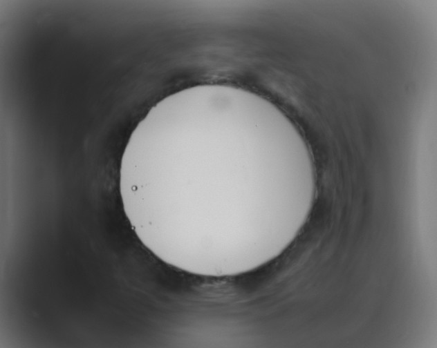X0000089461447200706291453