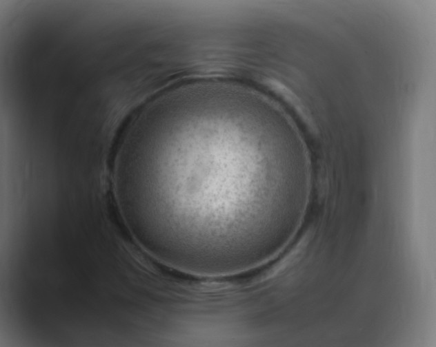 X0000089461449200706291453