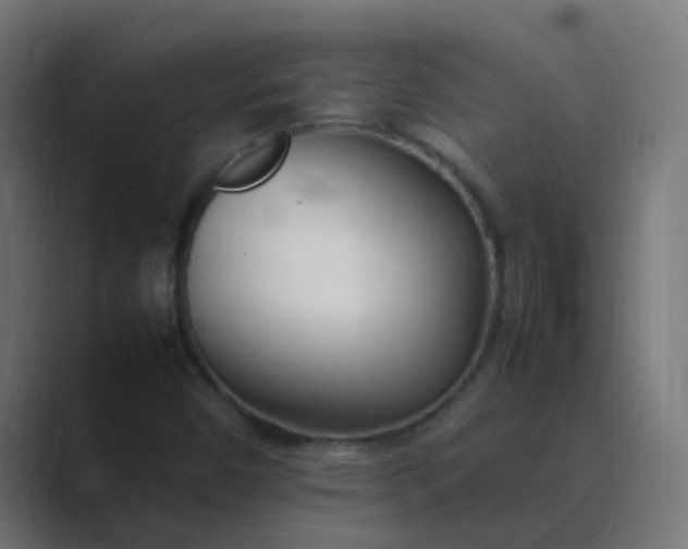 X0000089461450200706291453