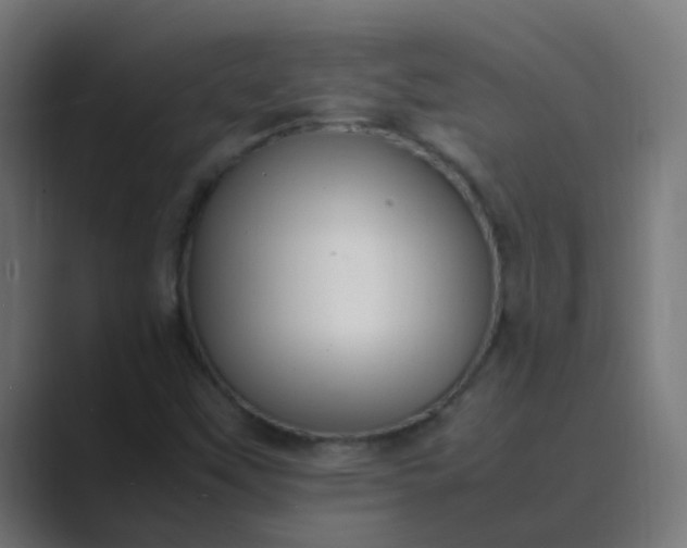 X0000089461451200706291453