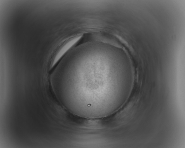 X0000089461453200706291452