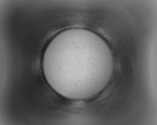 X0000089461454200706291452