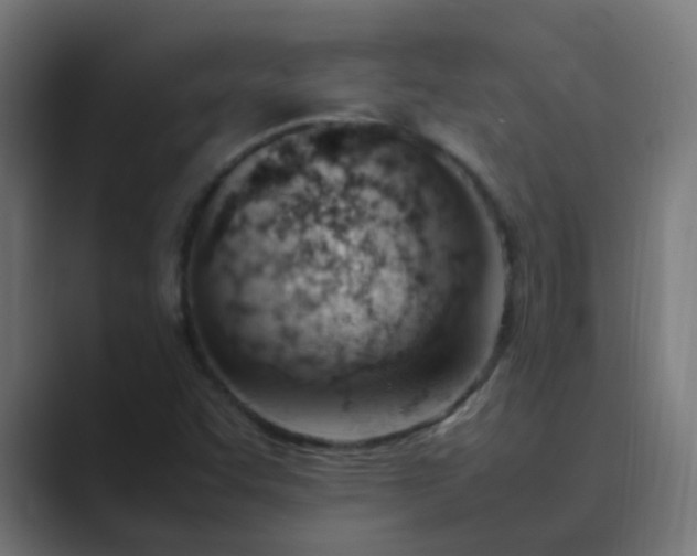 X0000089461455200706291452