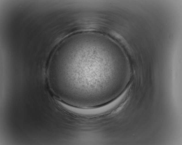 X0000089461457200706291452