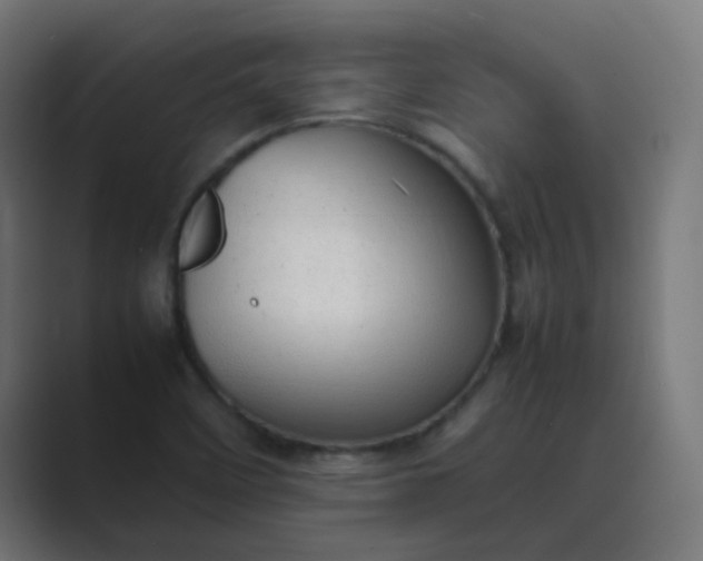 X0000089461458200706291452