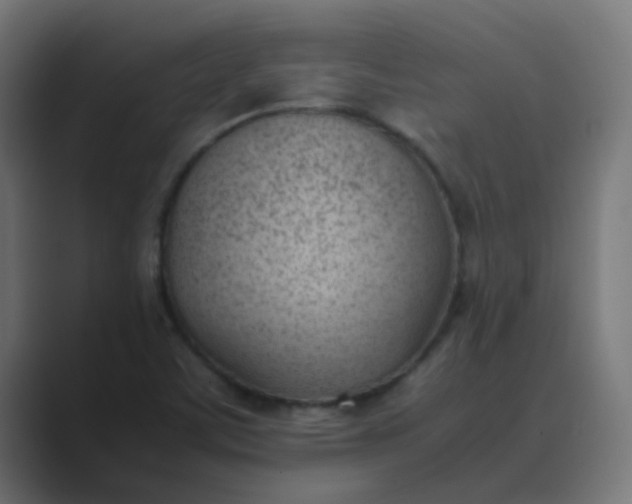 X0000089461459200706291452