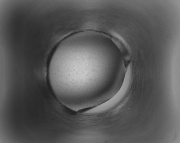 X0000089461461200706291452