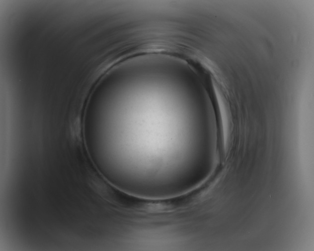 X0000089461465200706291452