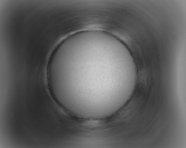 X0000089461470200706291452