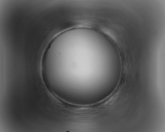 X0000089461471200706291452
