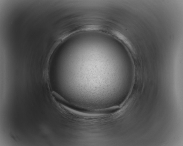 X0000089461473200706291452