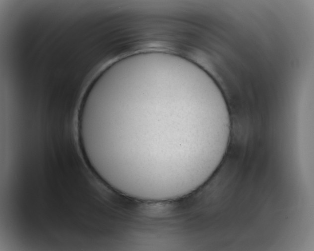 X0000089461474200706291452