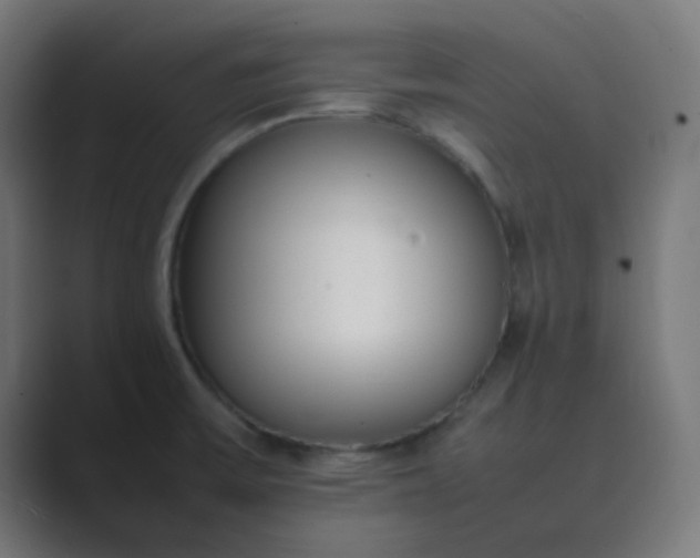 X0000089461475200706291452