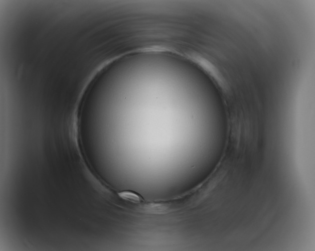 X0000089461476200706291452