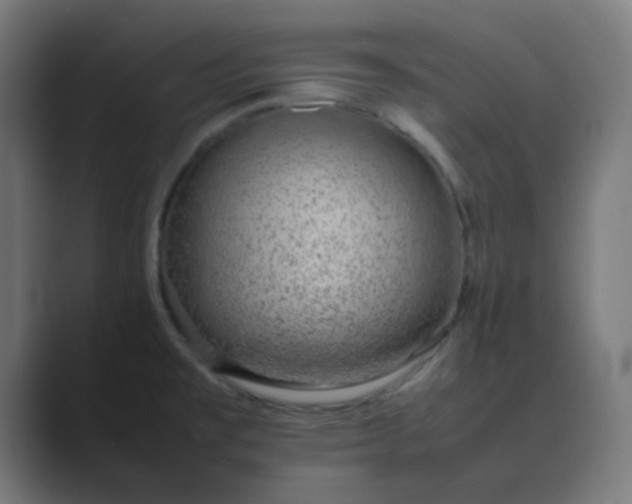 X0000089461477200706291452