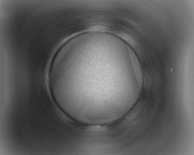 X0000089461478200706291452
