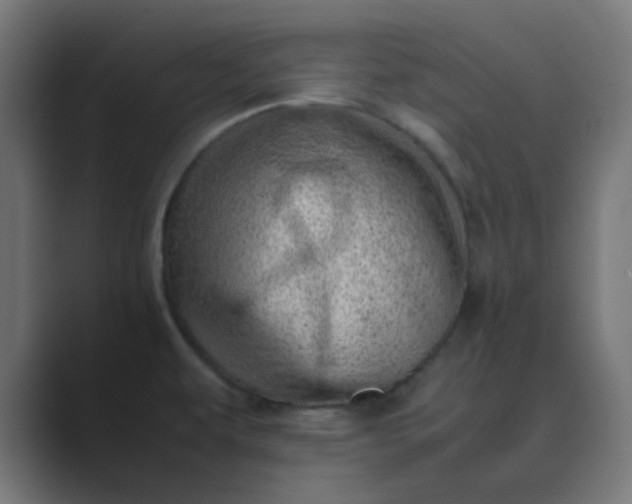 X0000089461479200706291452