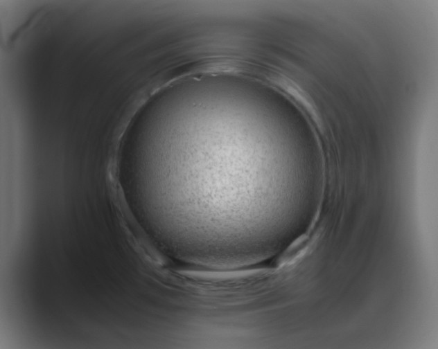 X0000089461481200706291452