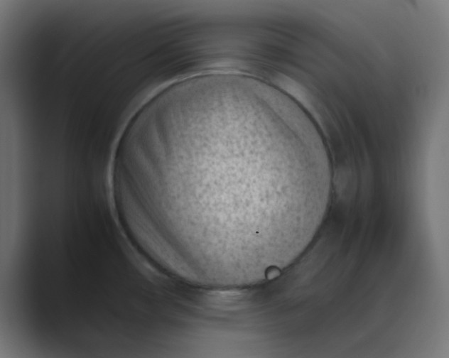 X0000089461482200706291452