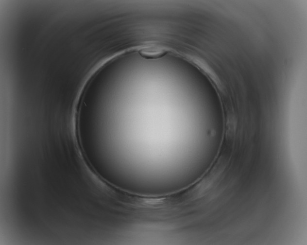 X0000089461484200706291452