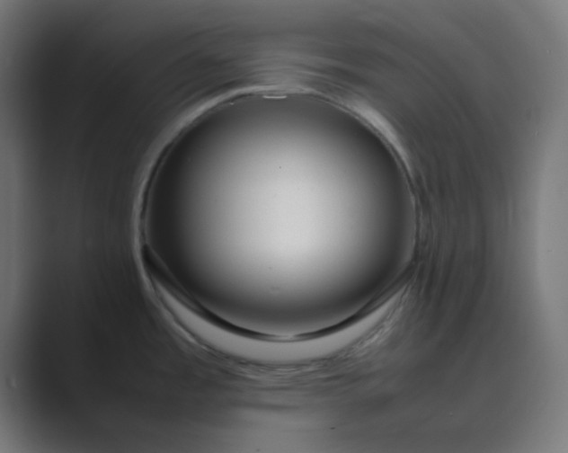 X0000089461485200706291452