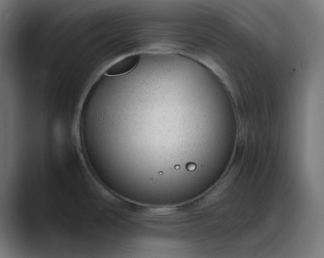 X0000089461486200706291452