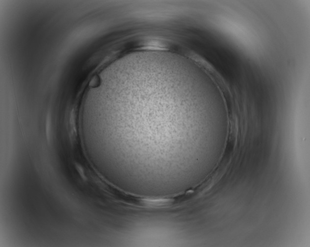 X0000089461487200706291452