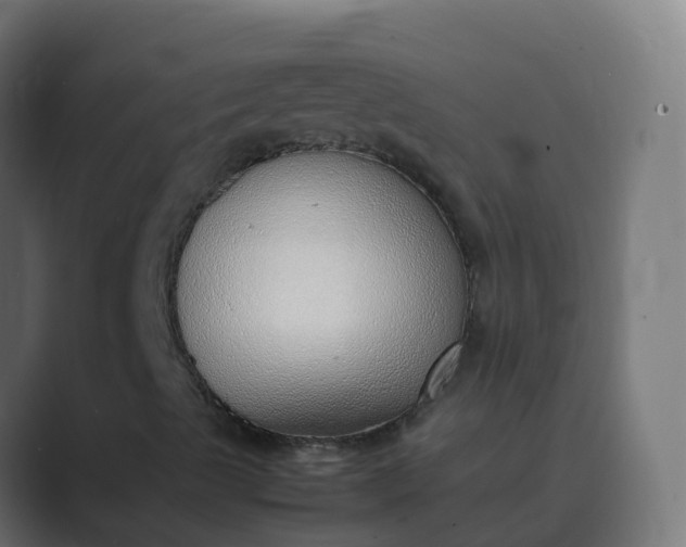 X0000089461489200706291452