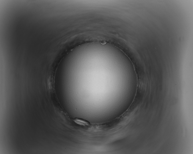 X0000089461490200706291452