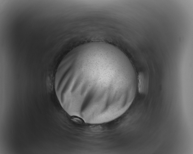 X0000089461491200706291452