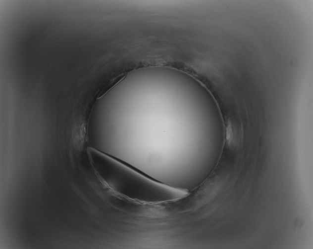 X0000089461492200706291452