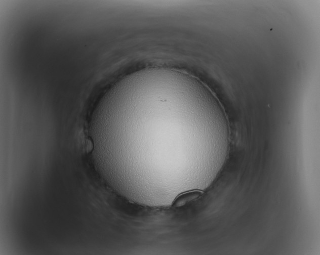 X0000089461493200706291452