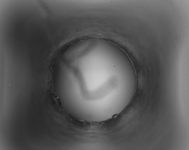 X0000089461494200706291452