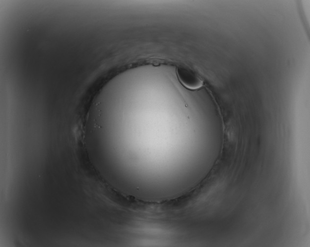 X0000089461495200706291452