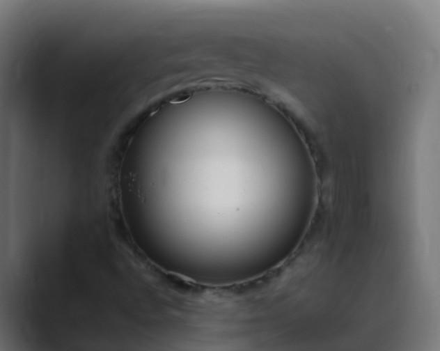 X0000089461496200706291452