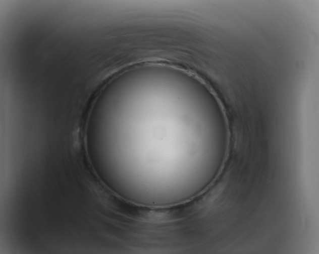 X0000089461497200706291452