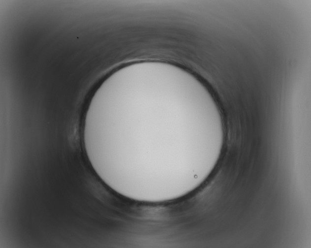 X0000089461498200706291452