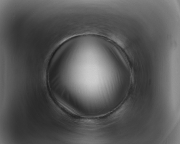 X0000089461500200706291452