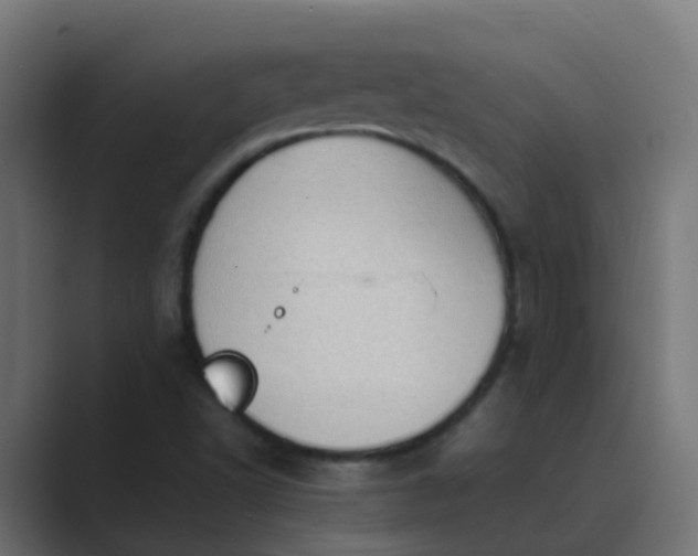 X0000089461502200706291452