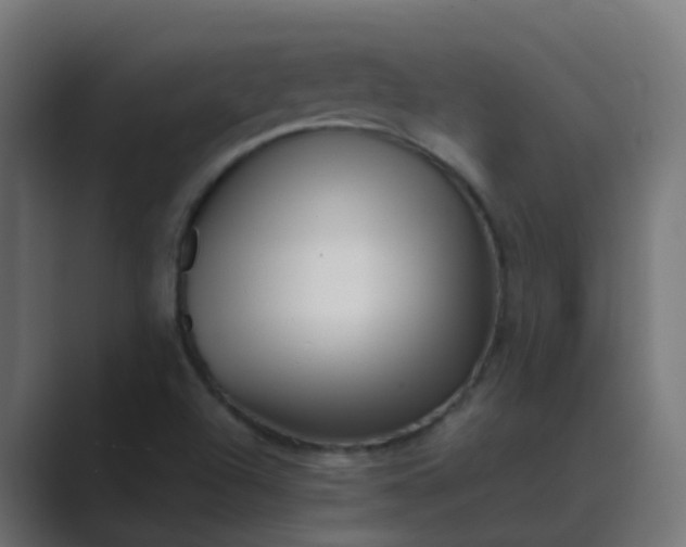 X0000089461504200706291452