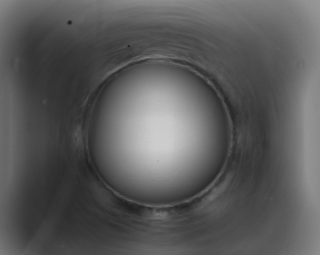 X0000089461505200706291452