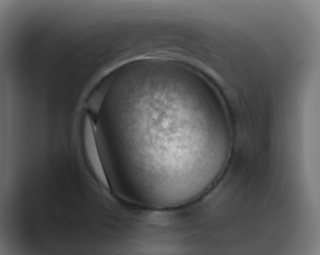 X0000089461506200706291452